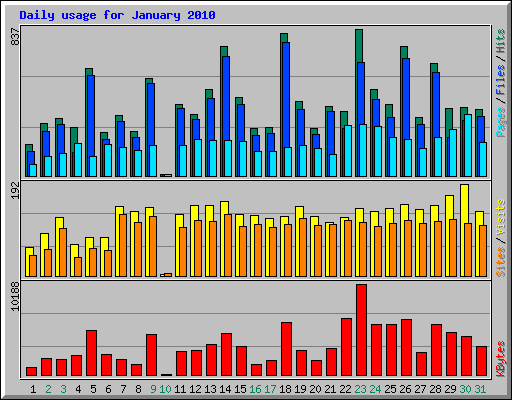 Daily usage for January 2010