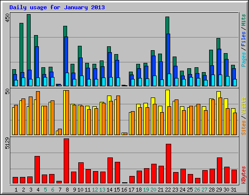 Daily usage for January 2013