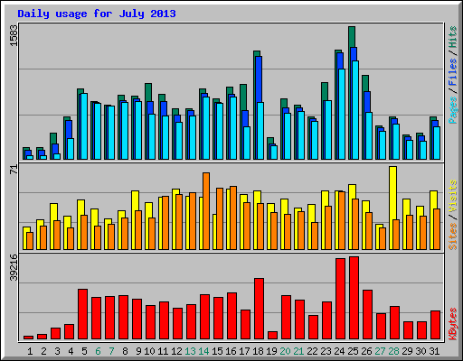 Daily usage for July 2013