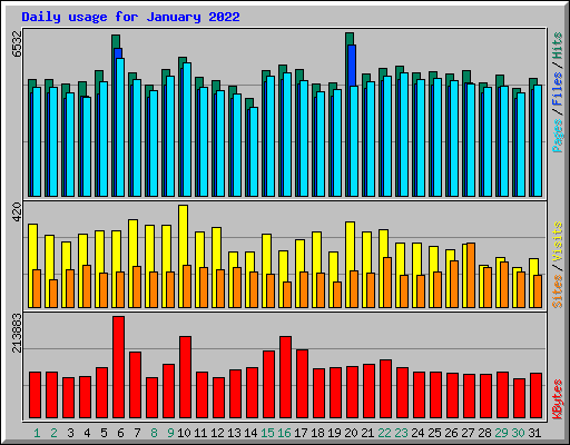 Daily usage for January 2022
