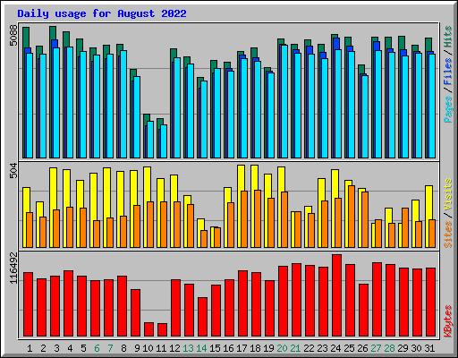 Daily usage for August 2022