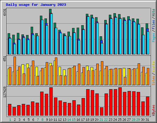 Daily usage for January 2023