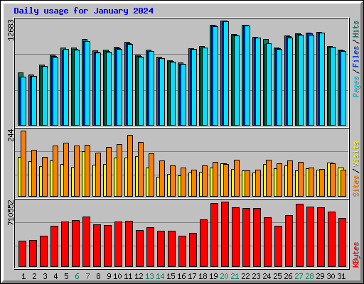 Daily usage for January 2024