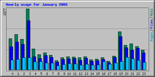 Hourly usage for January 2009