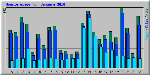 Hourly usage for January 2010