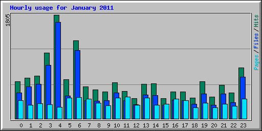 Hourly usage for January 2011