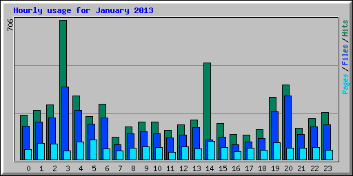 Hourly usage for January 2013