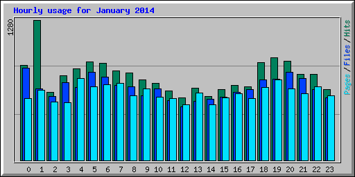 Hourly usage for January 2014