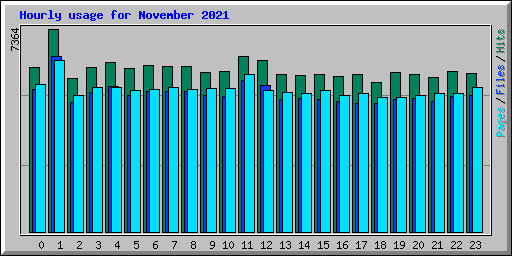 Hourly usage for November 2021