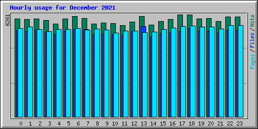 Hourly usage for December 2021