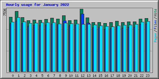 Hourly usage for January 2022