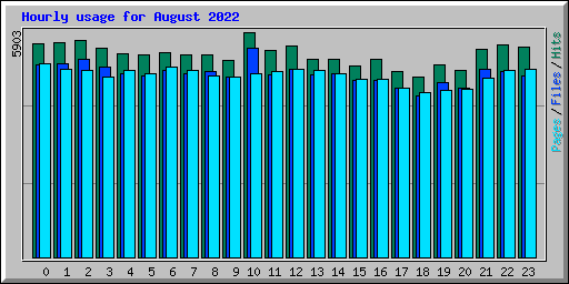 Hourly usage for August 2022