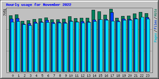 Hourly usage for November 2022
