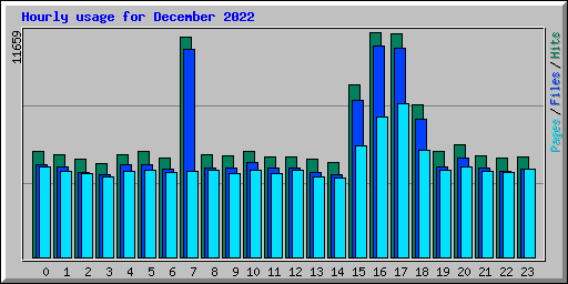 Hourly usage for December 2022