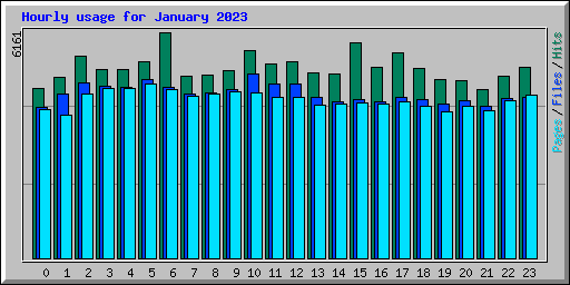 Hourly usage for January 2023