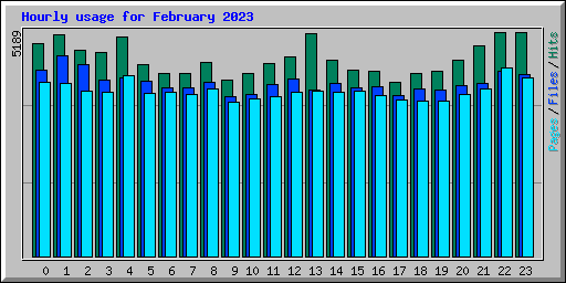 Hourly usage for February 2023