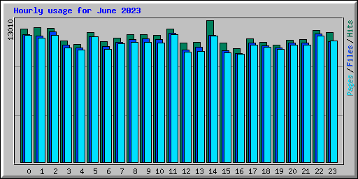 Hourly usage for June 2023