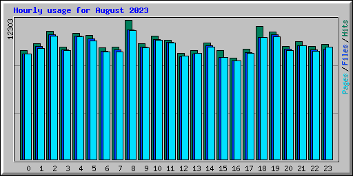 Hourly usage for August 2023