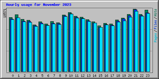 Hourly usage for November 2023