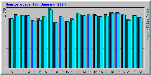 Hourly usage for January 2024