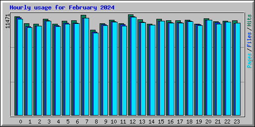 Hourly usage for February 2024