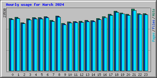 Hourly usage for March 2024