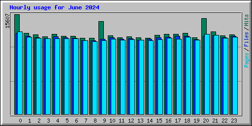 Hourly usage for June 2024