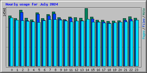 Hourly usage for July 2024