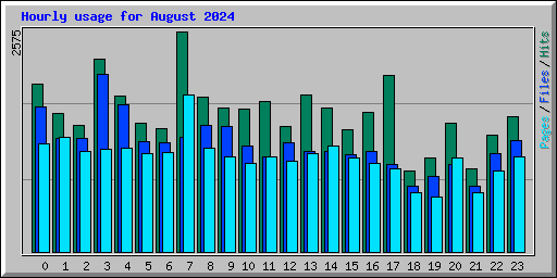 Hourly usage for August 2024