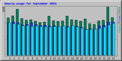 Hourly usage for September 2024